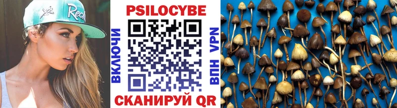 цена   omg как зайти  Псилоцибиновые грибы MAGIC MUSHROOMS  Михайловск 